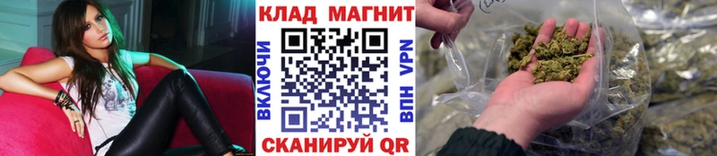 APVP Данков