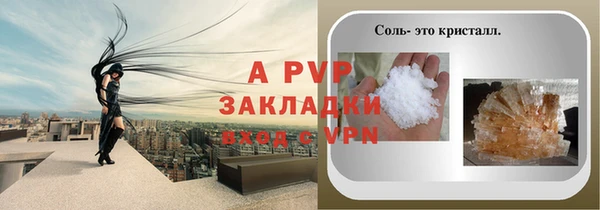соль ск Инсар