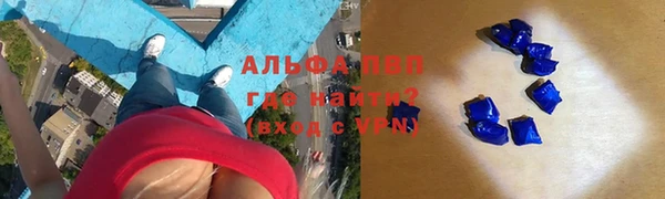 тгк Каменногорск