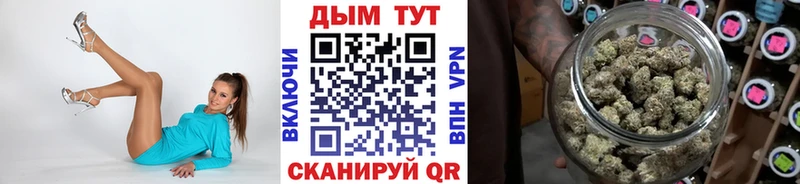 Купить где  Данков  Бошки Шишки гибрид 